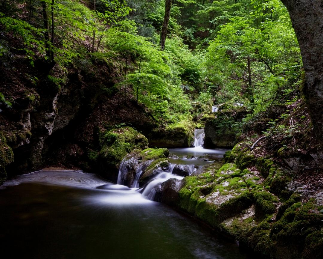Lama- und Eseltrekking durch die Twannbachschlucht